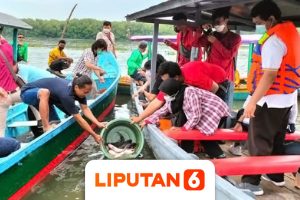 news-liputan-6-2021-yba